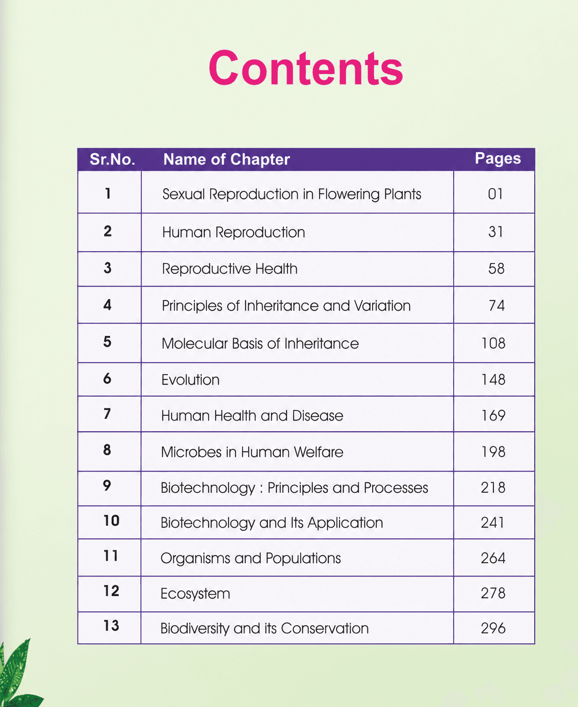 Book View 4